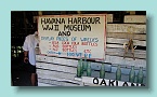 120_Great Museum